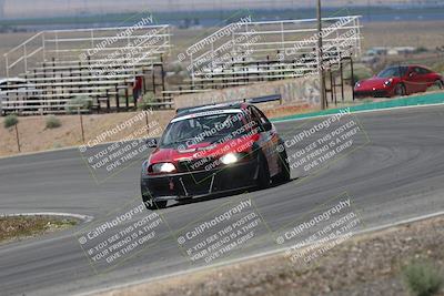 media/May-03-2025-Lucky Dog Racing (Sat) [[206de64b9d]]/Turn 4 B (1150am-130pm)/